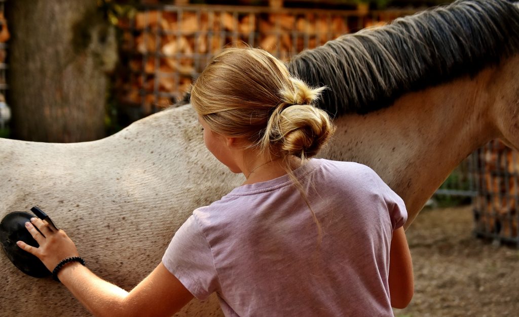 do horses like to be brushed